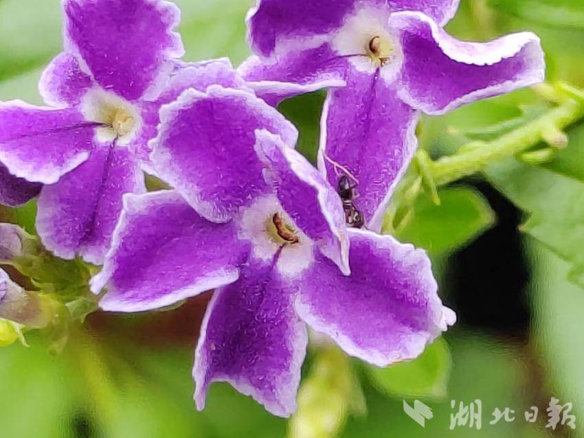 39814.acom摇钱树开奖